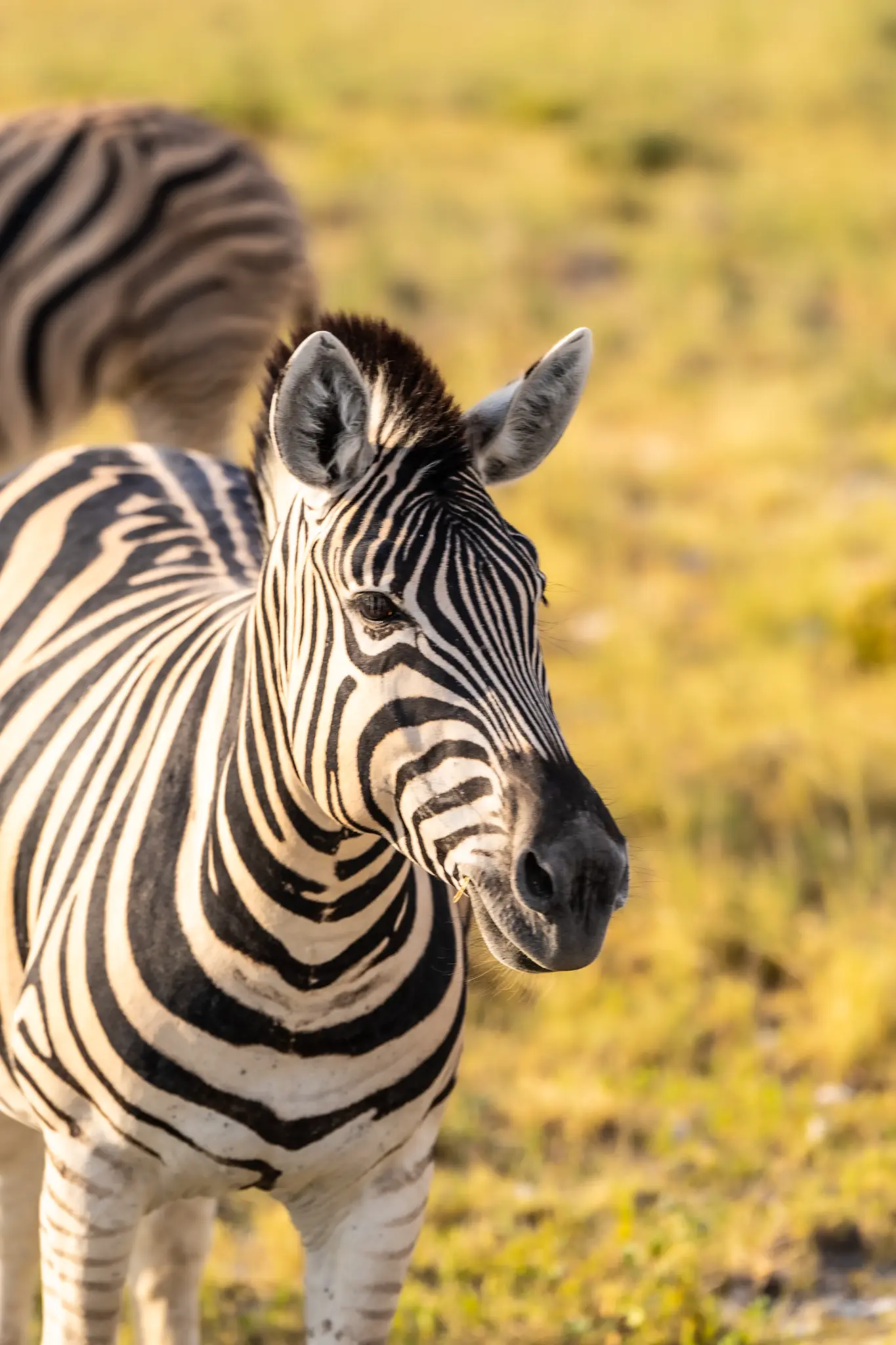 Namibia by Emma Finney
