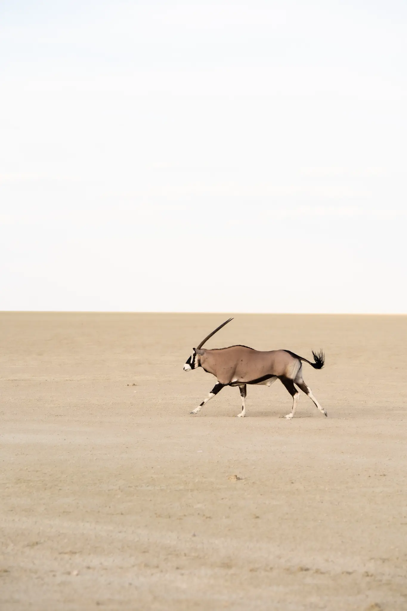 Namibia by Emma Finney