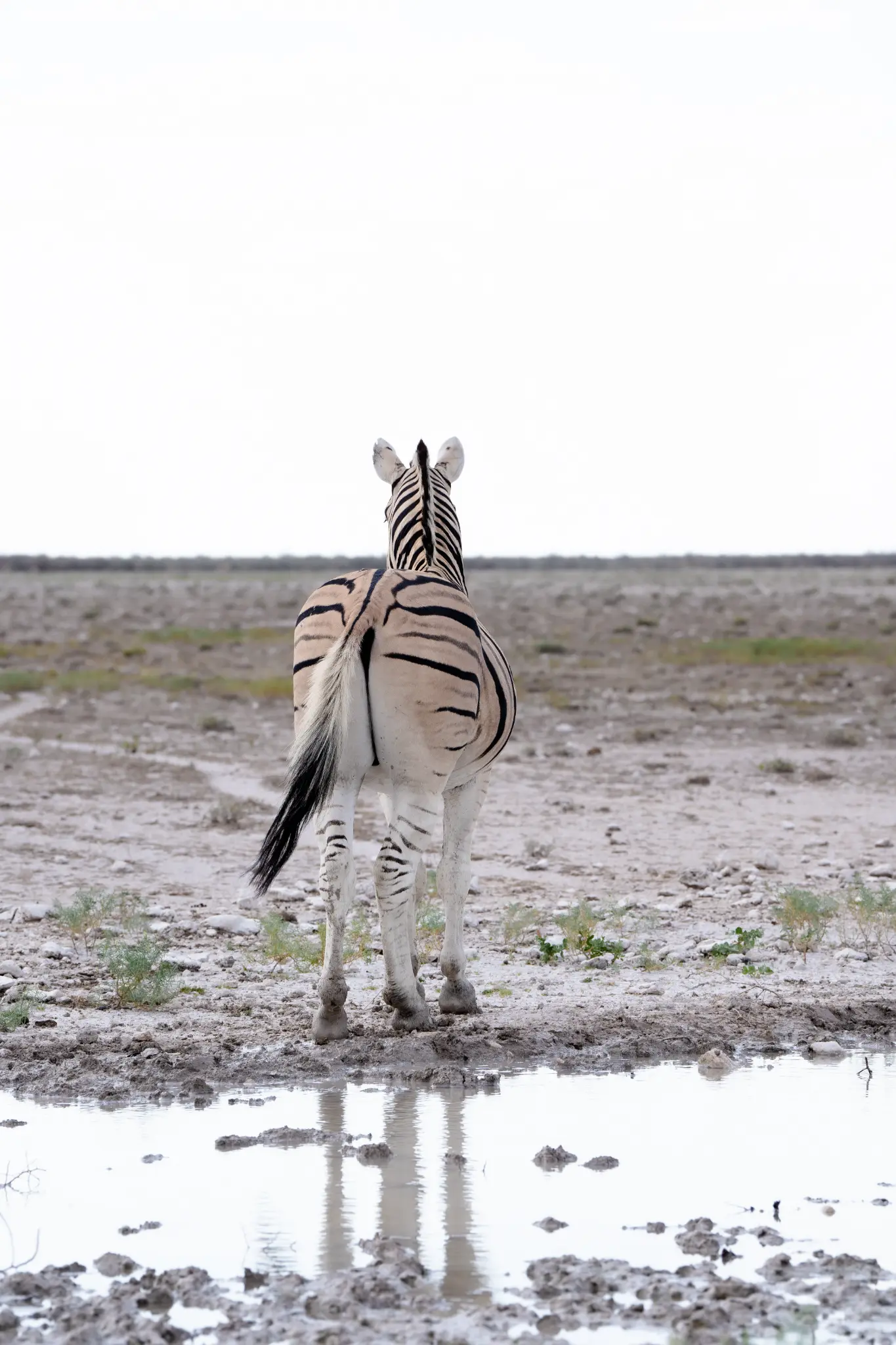 Namibia by Emma Finney
