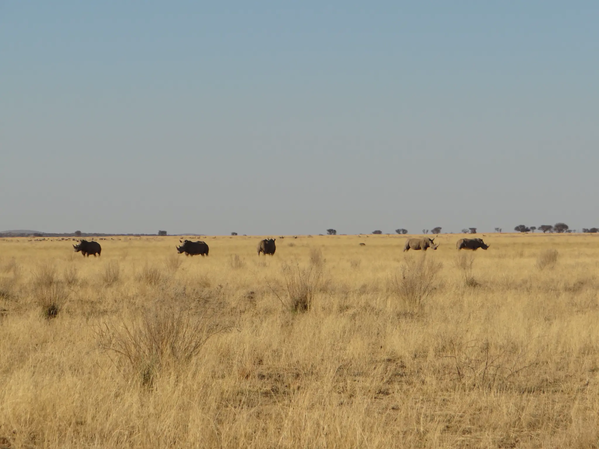 Safe and welcoming spaces