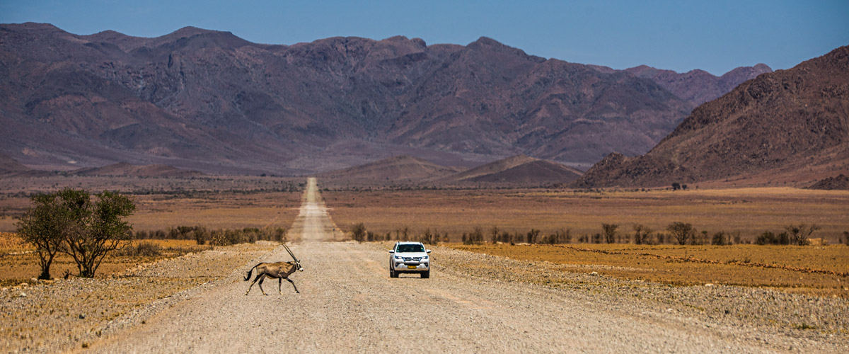 Namibia self-drive safaris